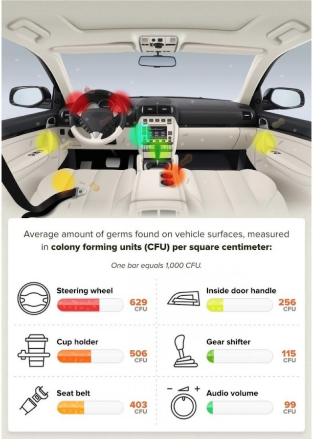 武漢肺炎 洗完車別忘了清潔汽車內裝 車室這3 處細菌超多